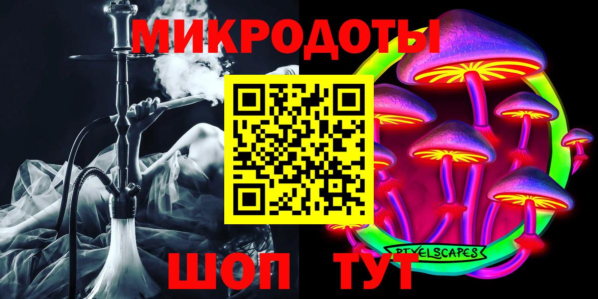 Псилоцибиновые грибы Cubensis Гурьевск